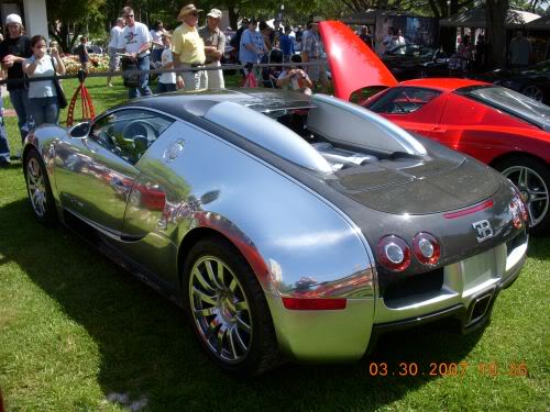 Name:  FoS08055.jpg
Views: 26
Size:  47.1 KB